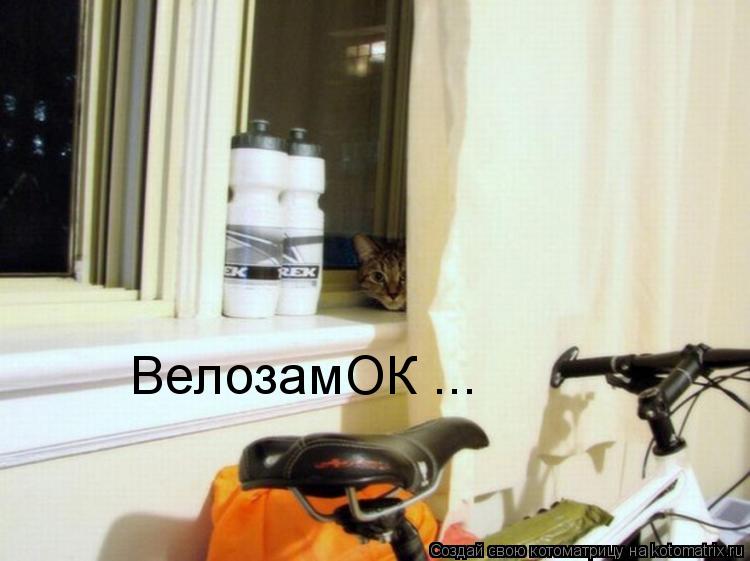 ВелозамОК ...... Котоматрица: ВелозамОК ...