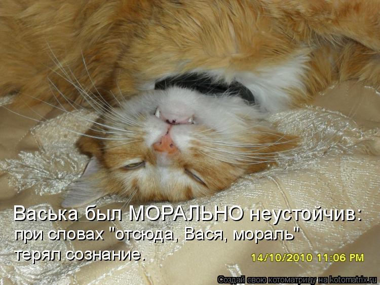 Васька был МОРАЛЬНО неустойчив: при словах "отсюда, Вася, мораль" терял сознание.... Котоматрица: Васька был МОРАЛЬНО неустойчив: при словах "отсюда, Вася, мораль" терял сознание.