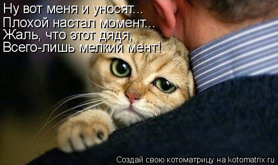 Котоматрица: Ну вот меня и уносят... Плохой настал момент... Жаль, что этот дядя, Всего-лишь мелкий мент!