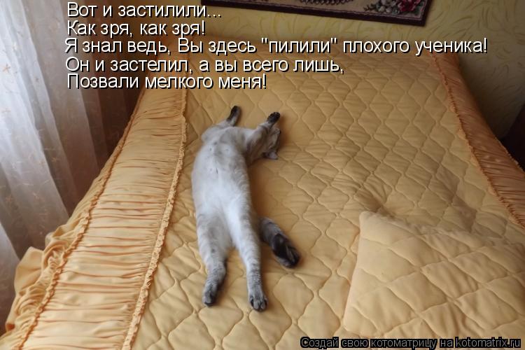 Вот и застилили... Как зря, как зря! Я знал ведь, Вы здесь "пилили" плохого ученика! Он и застелил, а... Котоматрица: Вот и застилили... Как зря, как зря! Я знал ведь, Вы здесь "пилили" плохого ученика! Он и застелил, а вы всего лишь, Позвали мелкого меня!
