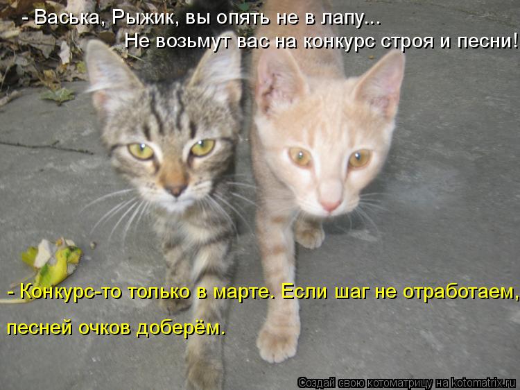 - Васька, Рыжик, вы опять не в лапу... Не возьмут вас на конкурс строя и песни! - Конкурс-то только в... Котоматрица: - Васька, Рыжик, вы опять не в лапу... Не возьмут вас на конкурс строя и песни! - Конкурс-то только в марте. Если шаг не отработаем, песней очков