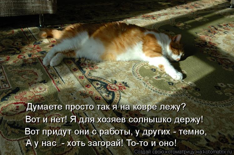 Думаете просто так я на ковре лежу? Вот и нет! Я для хозяев солнышко держу! А у нас - хоть загорай! ... Котоматрица: Думаете просто так я на ковре лежу? Вот и нет! Я для хозяев солнышко держу! А у нас - хоть загорай! То-то и оно! Вот придут они с работы, у других