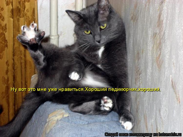 Ну вот это мне уже нравиться.Хороший педикюрчик,хороший.... Котоматрица: Ну вот это мне уже нравиться.Хороший педикюрчик,хороший.
