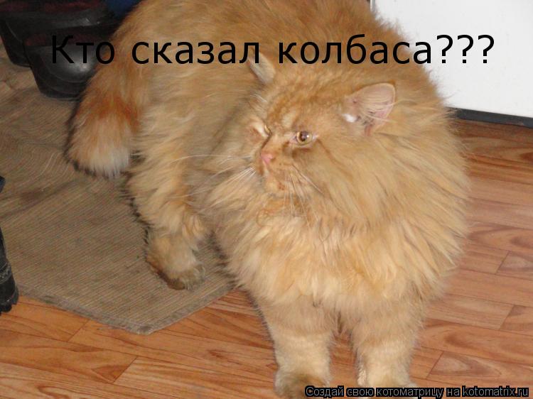 Кто сказал колбаса???... Котоматрица: Кто сказал колбаса???