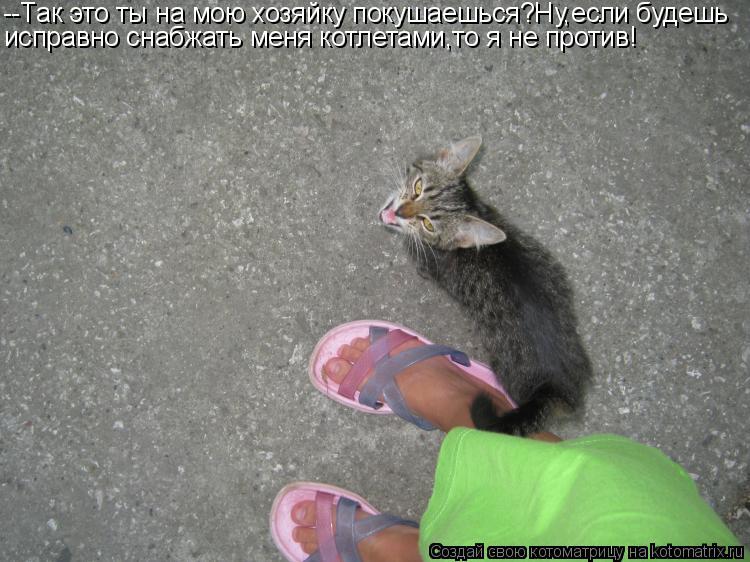--Так это ты на мою хозяйку покушаешься?Ну,если будешь исправно снабжать меня котлетами,то я не проти... Котоматрица: --Так это ты на мою хозяйку покушаешься?Ну,если будешь исправно снабжать меня котлетами,то я не против!
