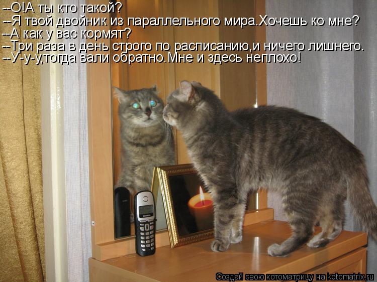--О!А ты кто такой? --Я твой двойник из параллельного мира.Хочешь ко мне? --А как у вас кормят? --Три... Котоматрица: --О!А ты кто такой? --Я твой двойник из параллельного мира.Хочешь ко мне? --А как у вас кормят? --Три раза в день строго по расписанию,и ничего лиш