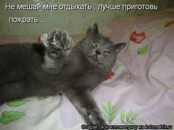 Не мешай мне отдыхать , лучше приготовь пожрать ...... Котоматрица: Не мешай мне отдыхать , лучше приготовь пожрать ...