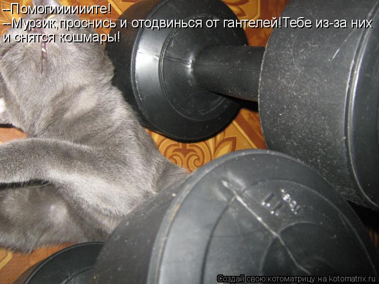 --Помогиииииите! --Мурзик,проснись и отодвинься от гантелей!Тебе из-за них и снятся кошмары!... Котоматрица: --Помогиииииите! --Мурзик,проснись и отодвинься от гантелей!Тебе из-за них и снятся кошмары!