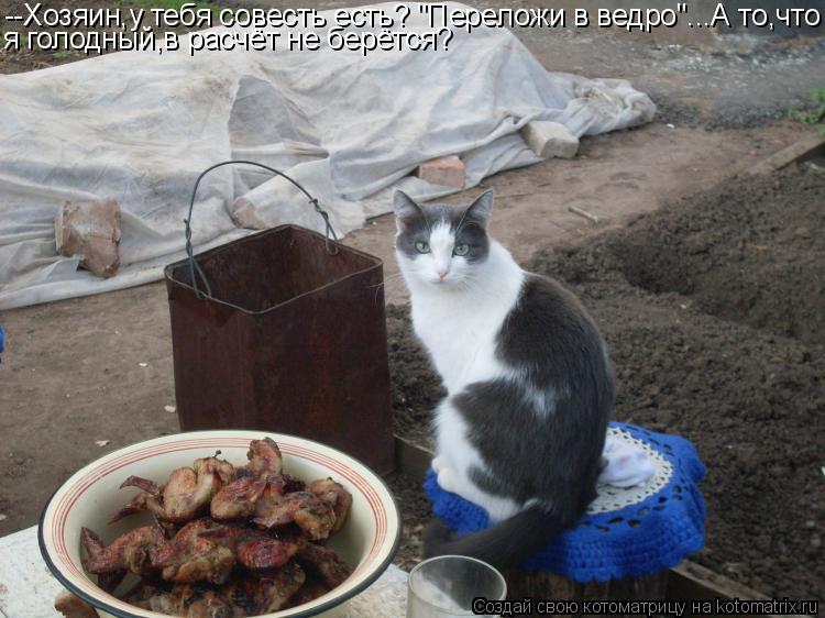 --Хозяин,у тебя совесть есть? "Переложи в ведро"...А то,что я голодный,в расчёт не берётся?... Котоматрица: --Хозяин,у тебя совесть есть? "Переложи в ведро"...А то,что я голодный,в расчёт не берётся?