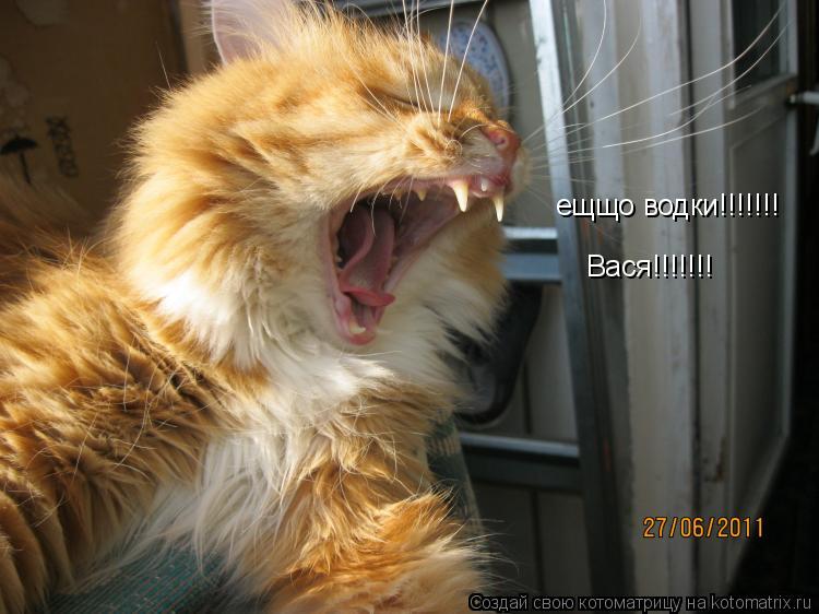 ещщо водки!!!!!!! Вася!!!!!!!... Котоматрица: ещщо водки!!!!!!! Вася!!!!!!!