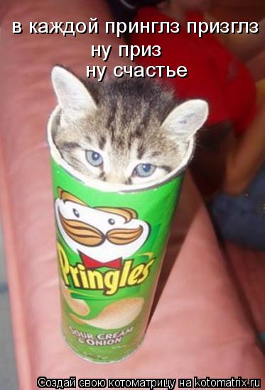 в каждой принглз призглз ну приз ну счастье... Котоматрица: в каждой принглз призглз ну приз ну счастье