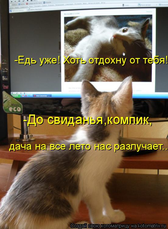 -До свиданья,компик, дача на все лето нас разлучает... -Едь уже! Хоть отдохну от тебя!... Котоматрица: -До свиданья,компик, дача на все лето нас разлучает... -Едь уже! Хоть отдохну от тебя!