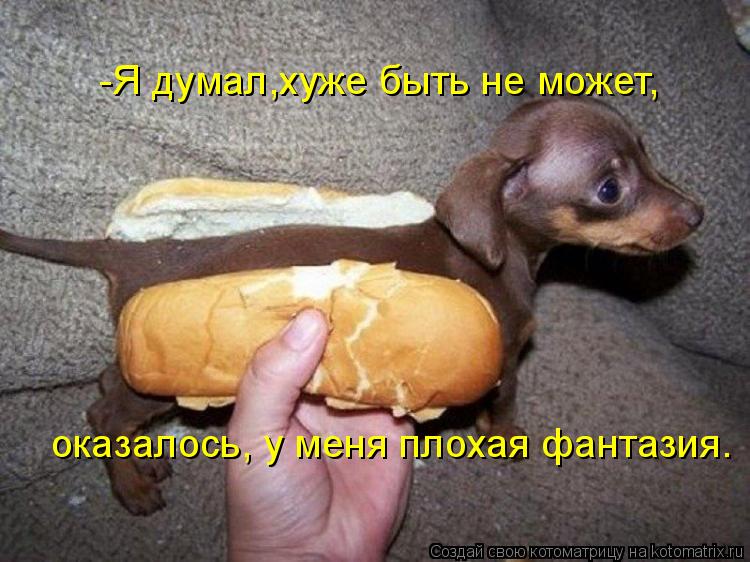 Котоматрица: -Я думал,хуже быть не может оказалось, у меня плохая фантазия. -Я думал,хуже быть не может,