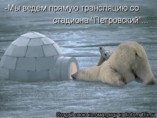 Котоматрица: -Мы ведём прямую трансляцию со стадиона "Петровский"...