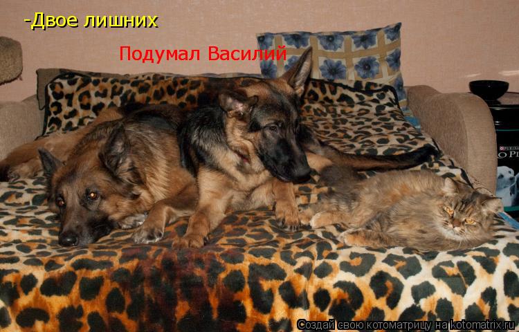 -Двое лишних Подумал Василий Подумал Василий... Котоматрица: -Двое лишних Подумал Василий Подумал Василий