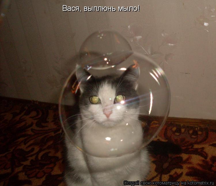Котоматрица: Вася, выплюнь мыло!