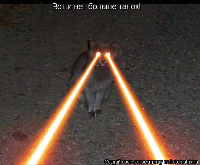 Котоматрица: Вот и нет больше тапок!
