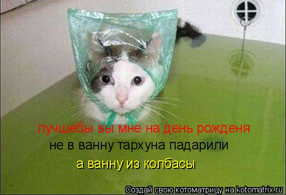 Котоматрица: лучшебы вы мне на день рожденя не в ванну тархуна падарили а ванну из колбасы