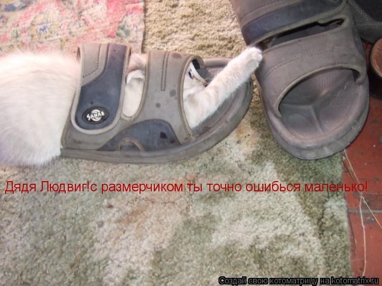 Котоматрица: Дядя Людвиг!с размерчиком ты точно ошибься маленько!