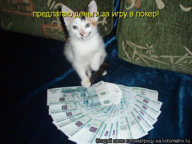 предлагаю деньги за игру в покер!... Котоматрица: предлагаю деньги за игру в покер!