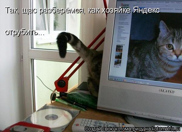 Котоматрица: Так, щас разберёмся, как хозяйке Яндекс  отрубить...