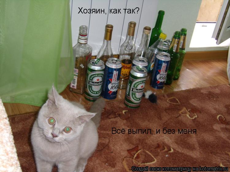 Котоматрица: Хозяин, как так? Всё выпил, и без меня