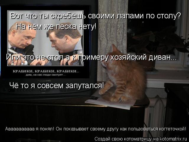 Котоматрица: Вот что ты скребёшь своими лапами по столу? На нём же песка нету! Или это не стол а к примеру хозяйский диван... Чё то я совсем запутался! Ааааа