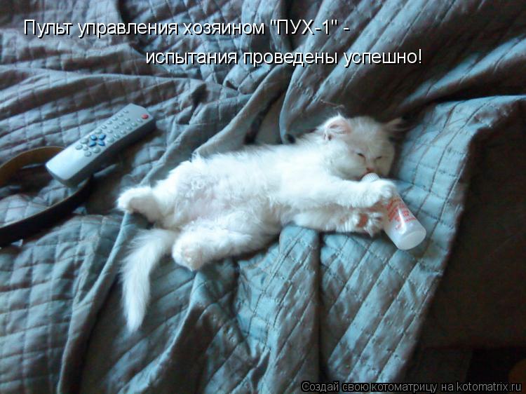 Котоматрица: Пульт управления хозяином "ПУХ-1" - испытания проведены успешно!