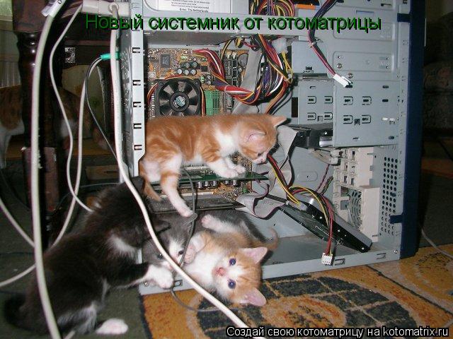 Котоматрица: Новый системник от котоматрицы