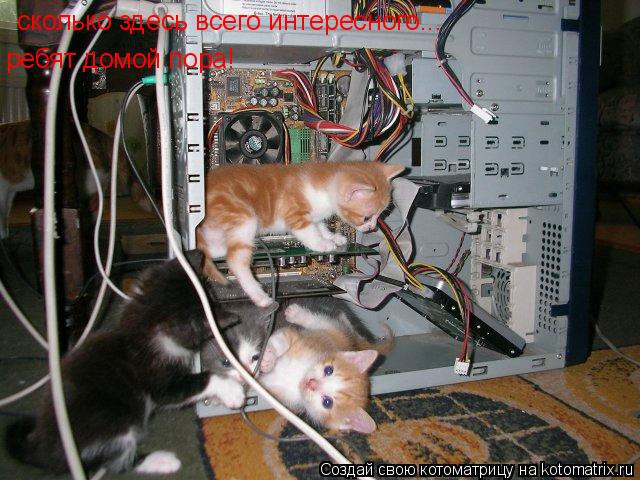 Котоматрица: сколько здесь всего интересного... ребят домой пора!