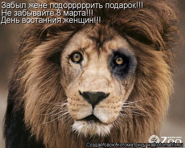 Котоматрица: Забыл жене подорррррить подарок!!! Не забывайте 8 марта!!! День востанния женщин!!!