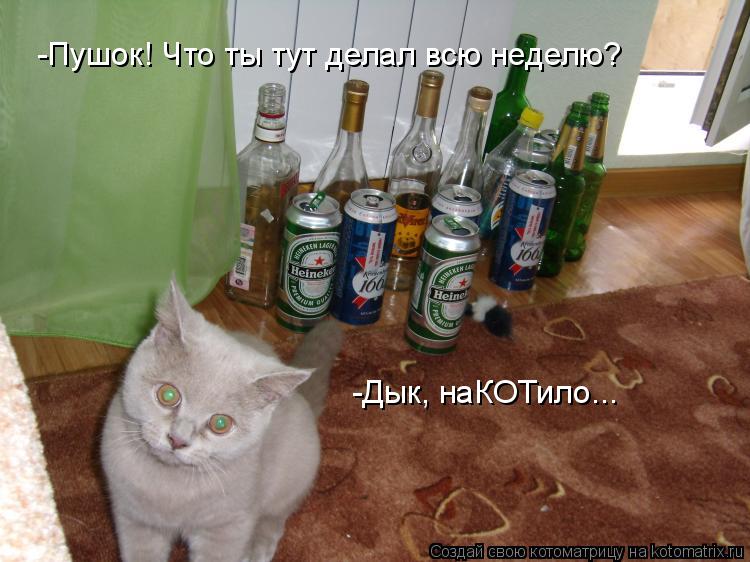 Котоматрица: -Пушок! Что ты тут делал всю неделю? -Дык, наКОТило...