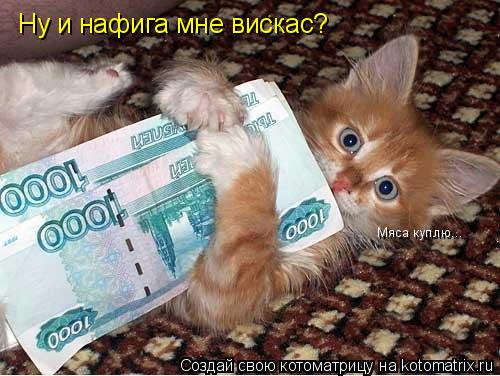 Котоматрица: Ну и нафига мне вискас? Мяса куплю...