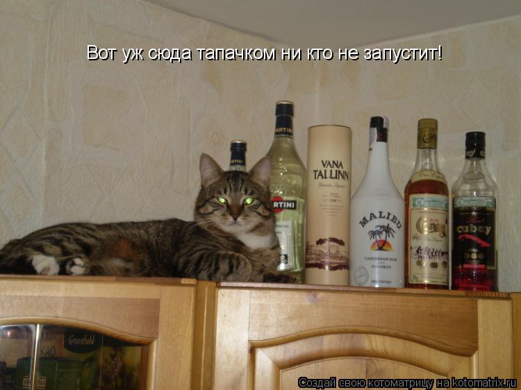 Котоматрица: Вот уж сюда тапачком ни кто не запустит!