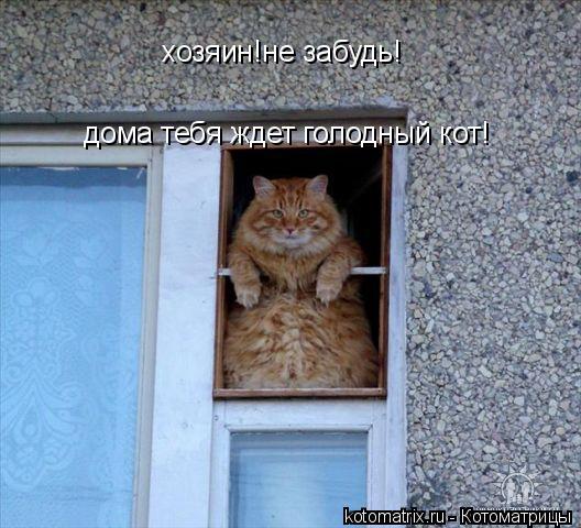 Котоматрица: хозяин!не забудь! дома тебя ждет голодный кот!