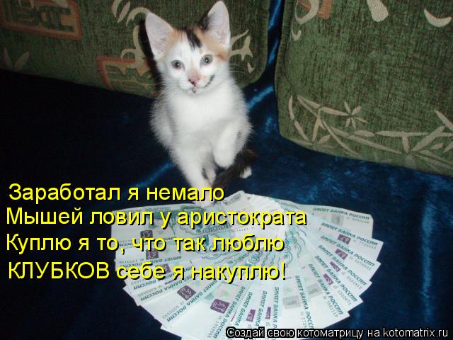 Котоматрица: Заработал я немало Мышей ловил у аристократа Куплю я то, что так люблю КЛУБКОВ себе я накуплю!