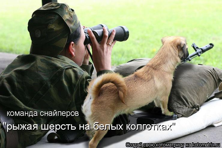 Котоматрица: команда снайперов "рыжая шерсть на белых колготках"