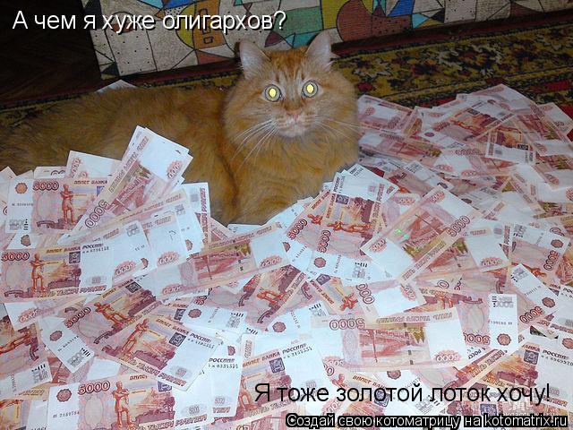 Котоматрица: А чем я хуже олигархов? Я тоже золотой лоток хочу!