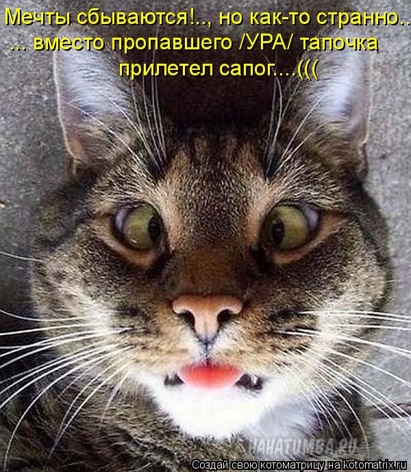 Котоматрица: Мечты сбываются!.., но как-то странно... ... вместо пропавшего /УРА/ тапочка  прилетел сапог....(((