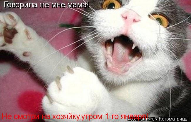 Котоматрица: Говорила же мне мама! Не смотри на хозяйку,утром 1-го января!
