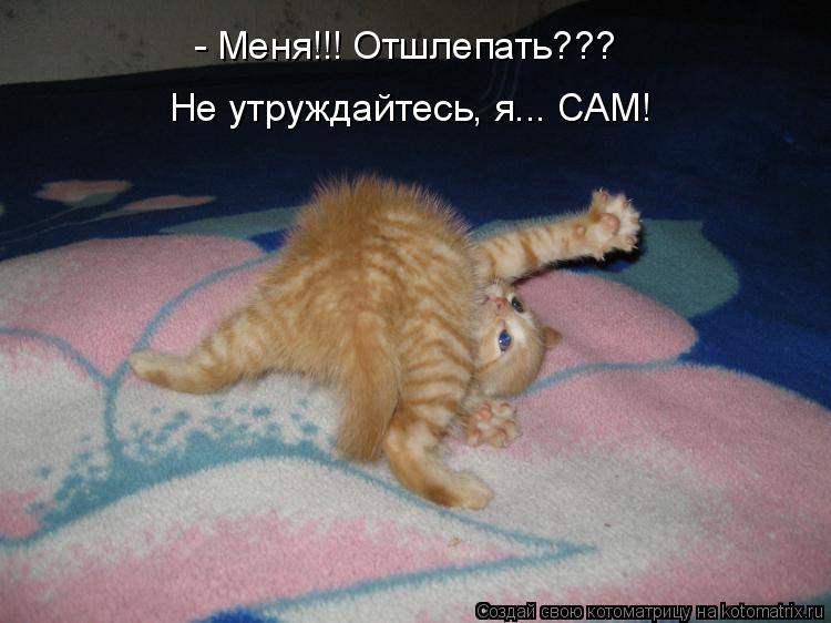 Котоматрица: - Меня!!! Отшлепать??? Не утруждайтесь, я... САМ!
