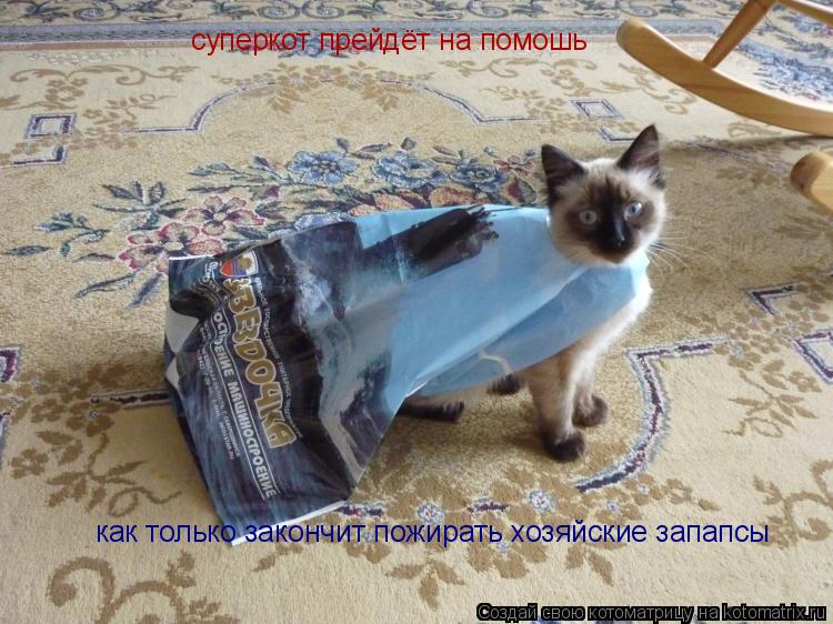 Котоматрица: суперкот прейдёт на помошь как только закончит пожирать хозяйские запапсы