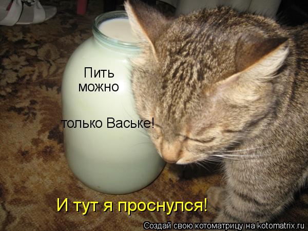 Котоматрица: Пить  можно только Ваське! И тут я проснулся!