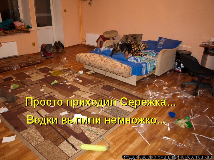 Котоматрица: Просто приходил Сережка... Водки выпили немножко...