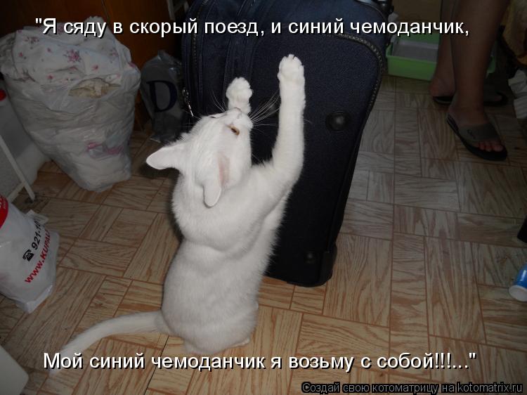 Котоматрица: "Я сяду в скорый поезд, и синий чемоданчик, Мой синий чемоданчик я возьму с собой!!!..."