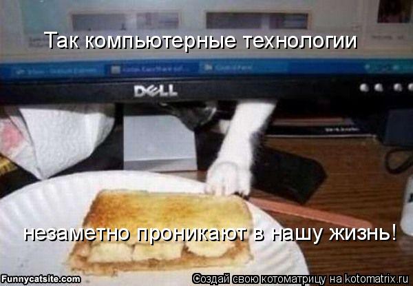 Котоматрица: незаметно проникают в нашу жизнь! Так компьютерные технологии