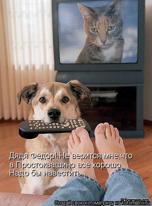 Дядя Фёдор! Не верится мне,что в Простоквашино всё хорошо. Надо бы навестить.... Котоматрица: Дядя Фёдор! Не верится мне,что в Простоквашино всё хорошо. Надо бы навестить.