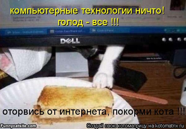 Котоматрица: компьютерные технологии ничто! голод - все !!! оторвись от интернета, покорми кота !!!
