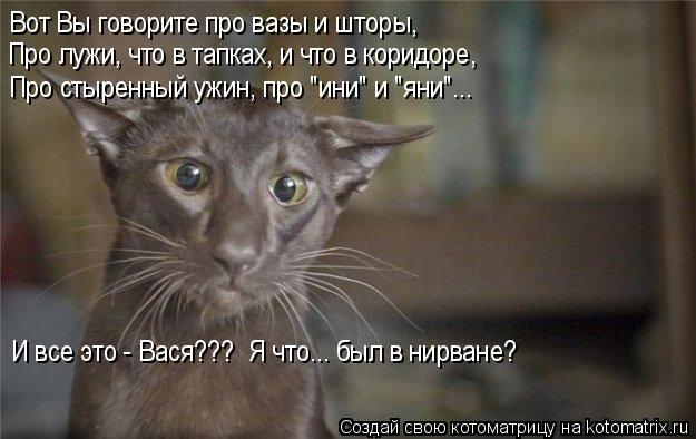 Вот Вы говорите про вазы и шторы, Про лужи, что в тапках, и что в коридоре, Про стыренный ужин, про ... Котоматрица: Вот Вы говорите про вазы и шторы, Про лужи, что в тапках, и что в коридоре, Про стыренный ужин, про "ини" и "яни"... И все это - Вася??? Я что... бы