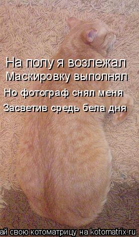 Котоматрица: На полу я возлежал  Маскировку выполнял Засветив средь бела дня Но фотограф снял меня